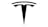 Teslanews Logo
